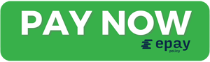 Pay Now Epay
